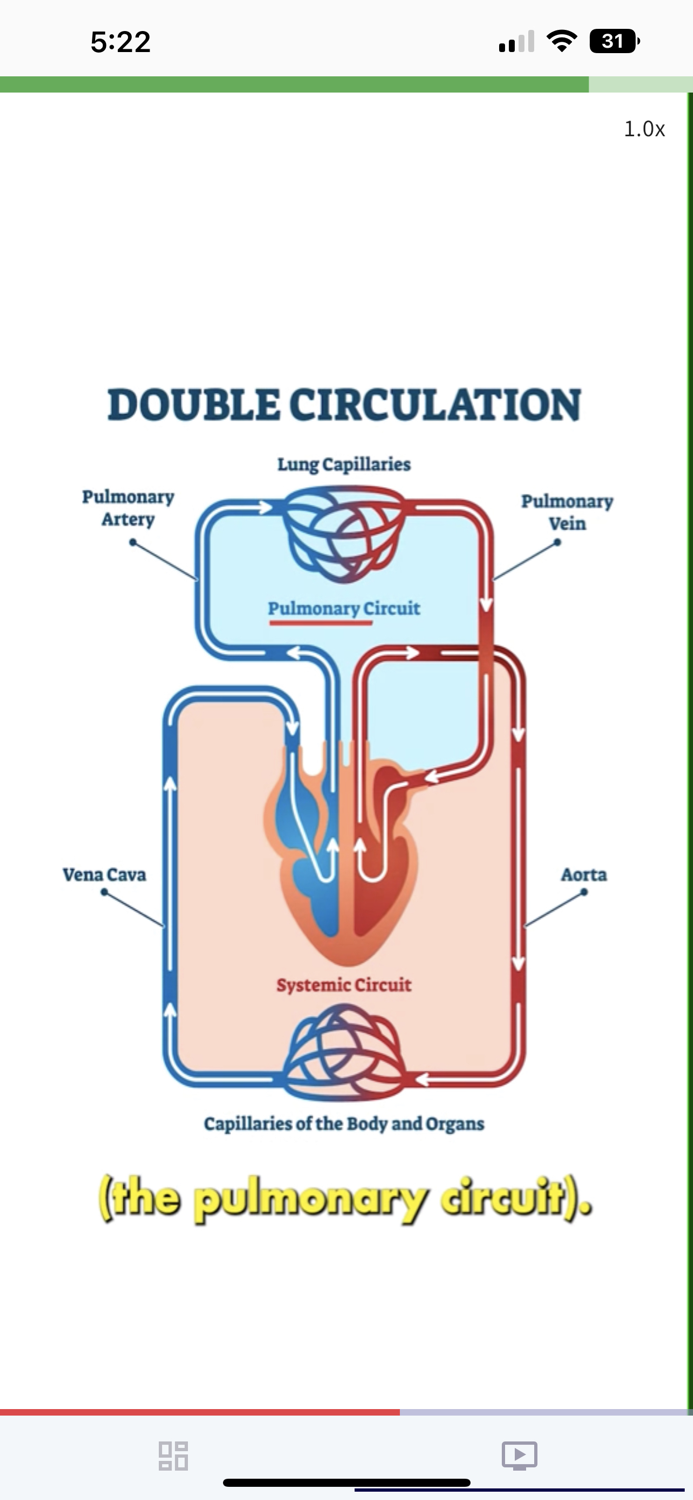 TEAS-Tok - ATI TEAS Exam Prep