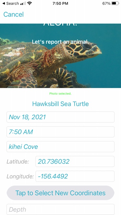 HI Hawksbill Conservation screenshot-3