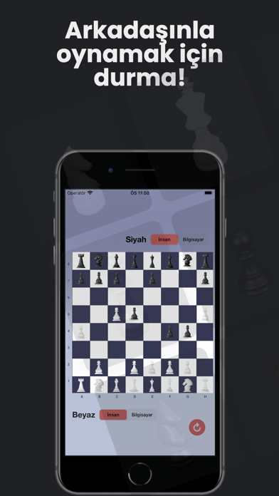 Şah Mat (çevrimdışı) Screenshot