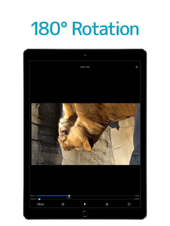 Screenshot #6 pour Motion Player - Mirror & slow