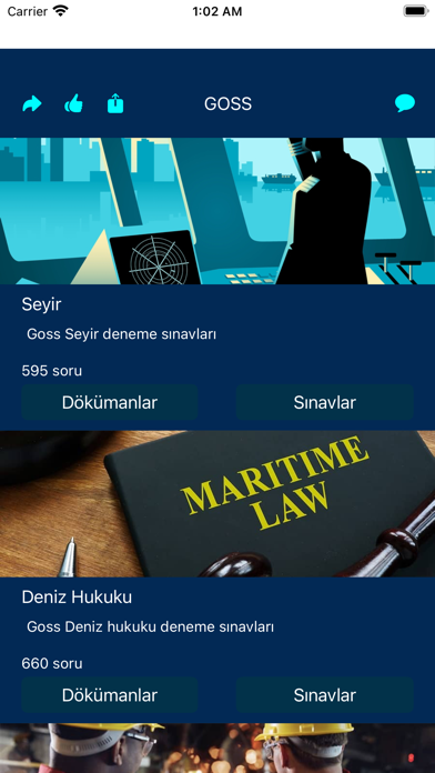 Denizcilik Sınavı: GOSS Screenshot