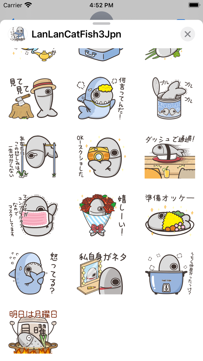 ランラン猫のいつもの魚 3JPN