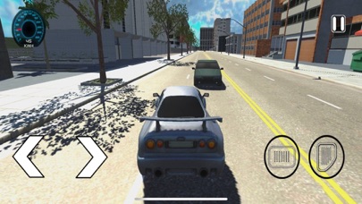 Driver Traffic Pro Screenshot