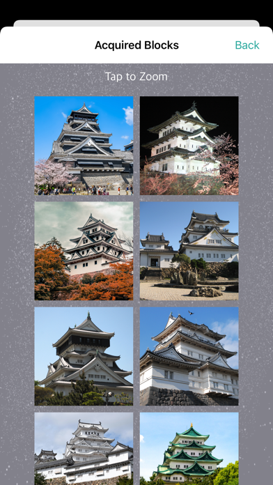 Japan Castle Blocks Screenshot