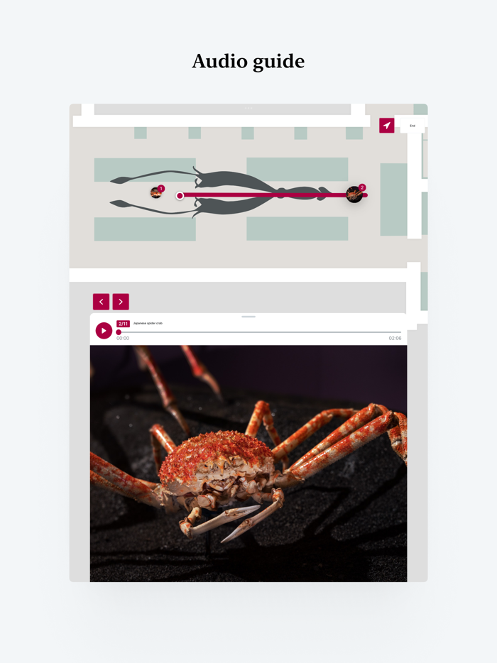 National Museum in your pocket