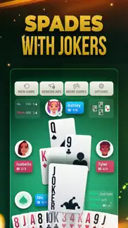 spades offline - card game iphone screenshot 3