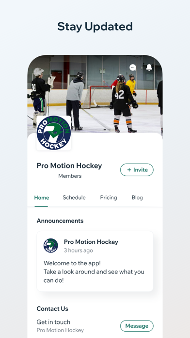 Pro Motion Hockey Screenshot