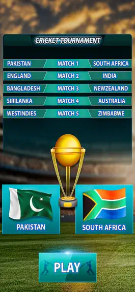 Game screenshot Play Live Cricket Game apk
