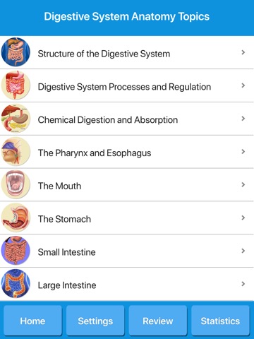 Digestive System Physiologyのおすすめ画像4