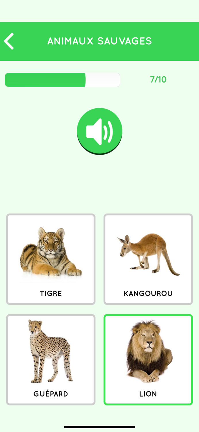 Learn French for beginners