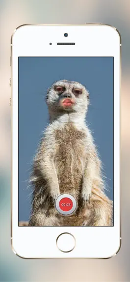 Game screenshot Lipster: Mesh Your Face hack