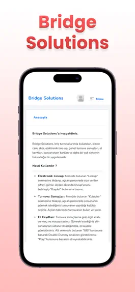 Game screenshot Bridge Solutions mod apk