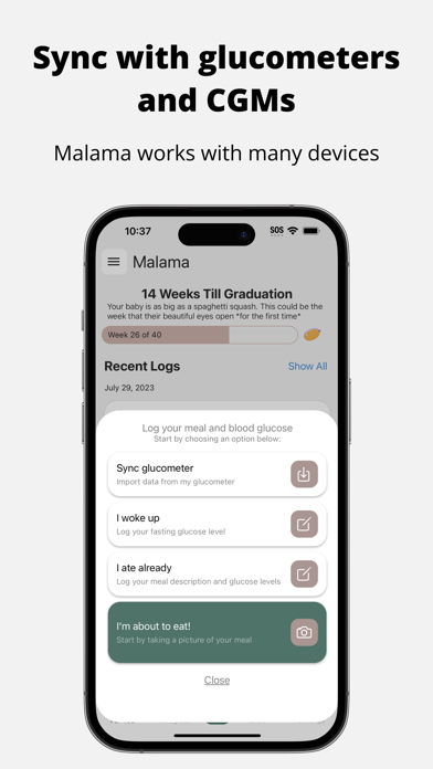 Malama - Gestational Diabetes Screenshot