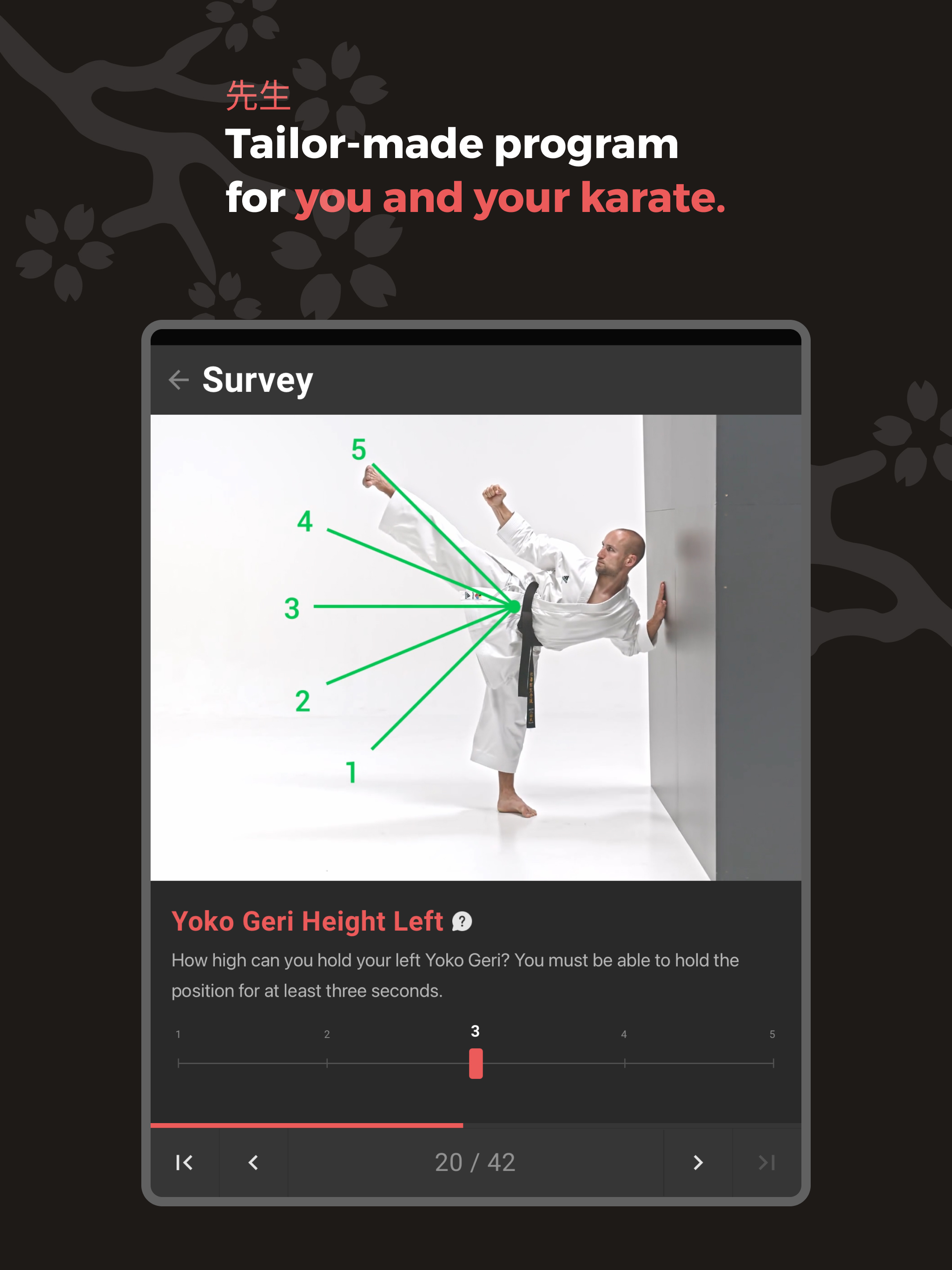 Dojo Athletics