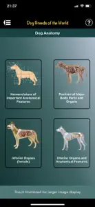 Dog Breeds of the World screenshot #8 for iPhone