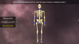 joints: the human levers problems & solutions and troubleshooting guide - 2