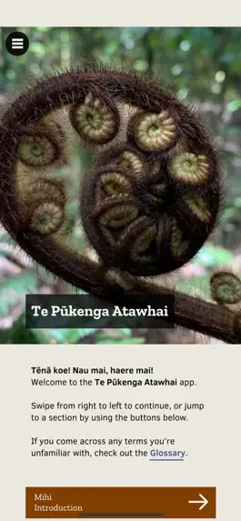 Game screenshot Te Pūkenga Atawhai mod apk