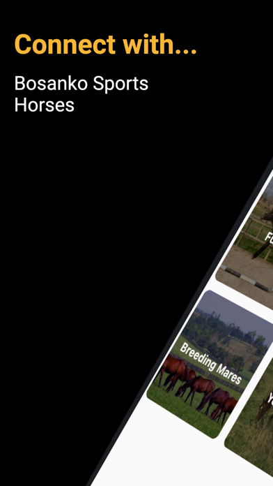 Bosanko Sports Horses Screenshot