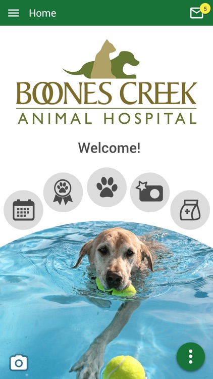 Boones Creek Animal Hospital