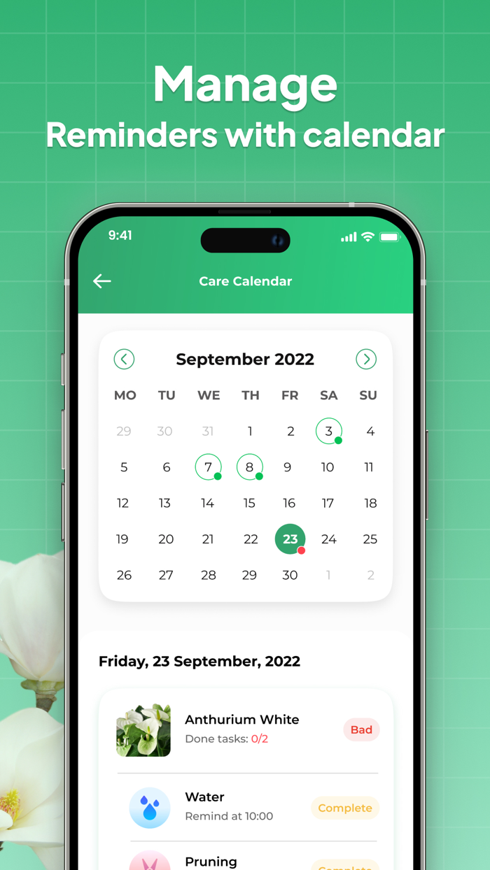 LeafSnap-Plant Identification