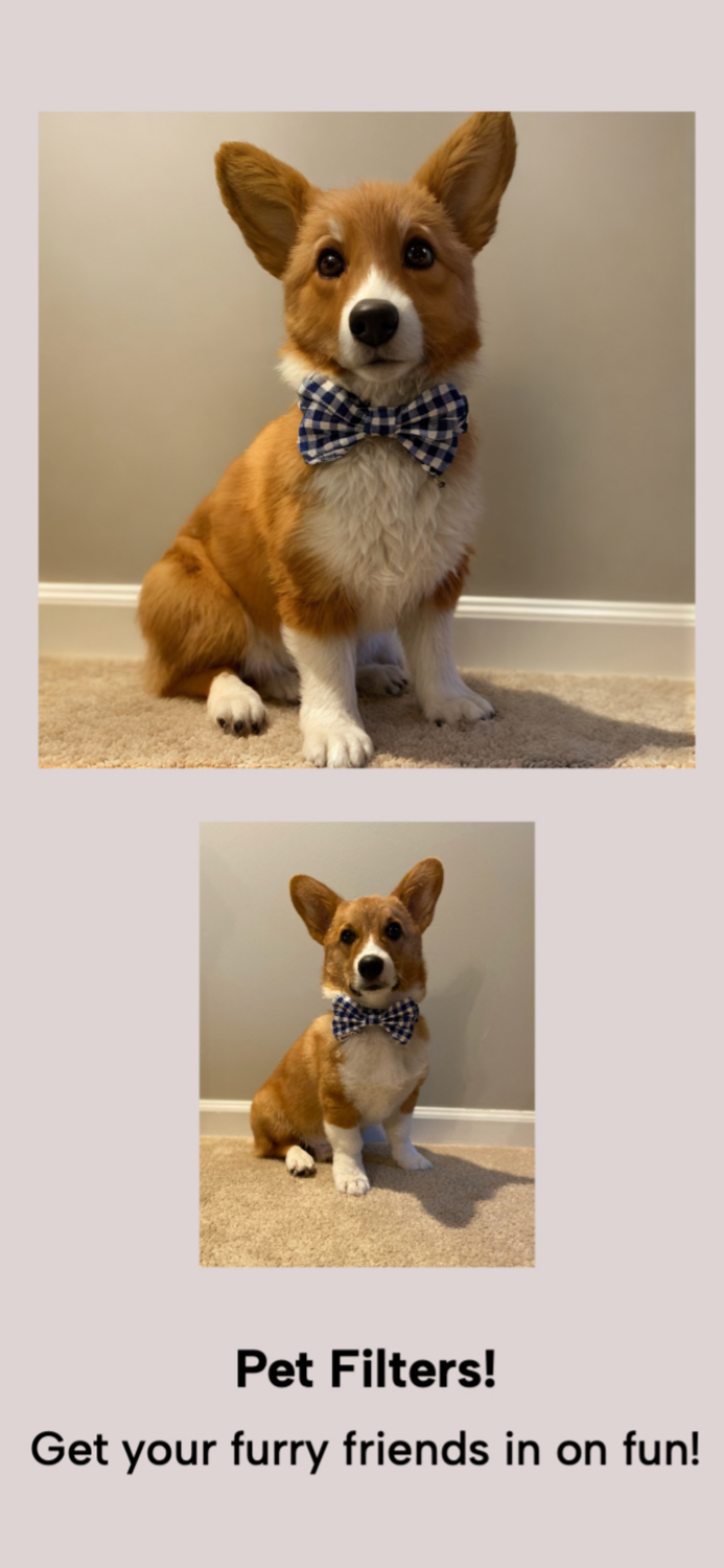 Muse - AI Photo Generator