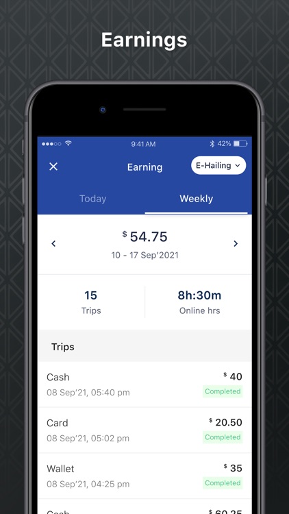 IR Taxi Driver screenshot-6