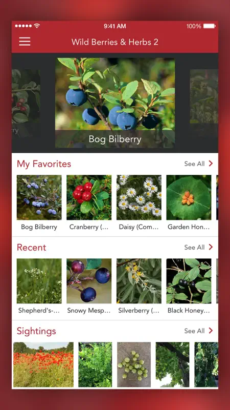 Wild Berries and Herbs 2 PRO screenshot 7 of 7