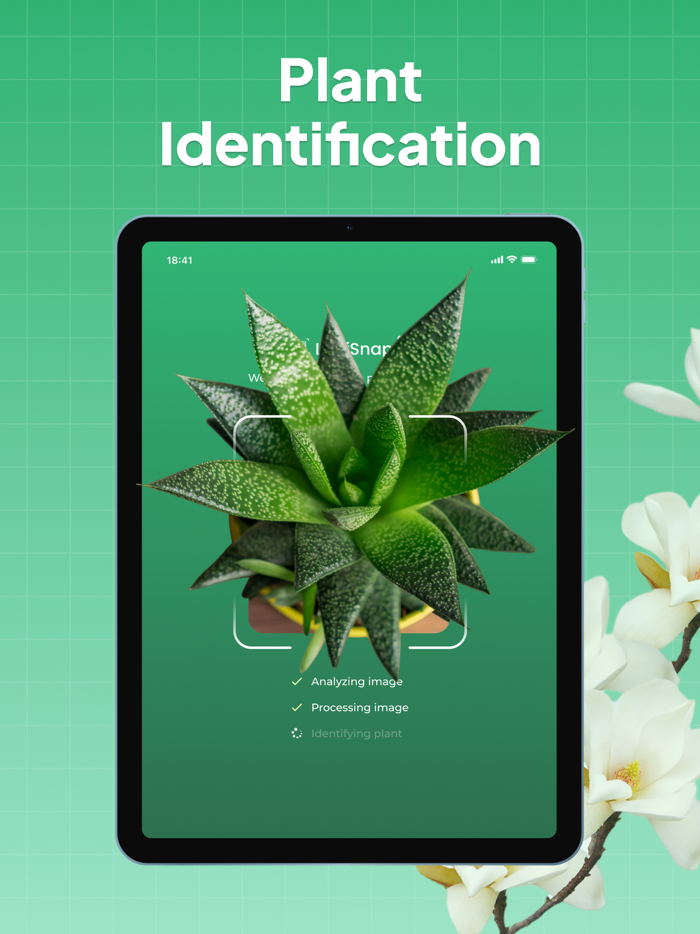 LeafSnap-Plant Identification