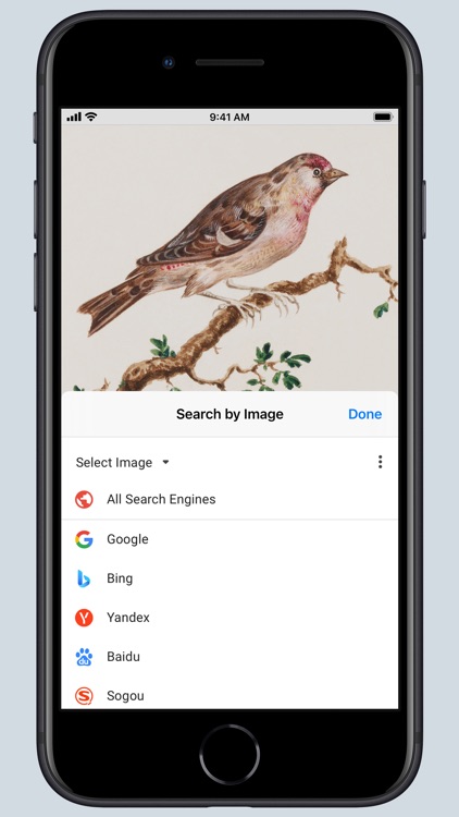 Search by Image for Safari