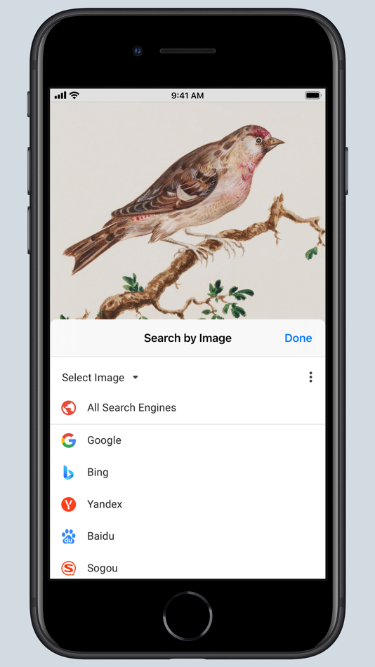 #1. Search by Image for Safari (macOS) 由: Armin Sebastian