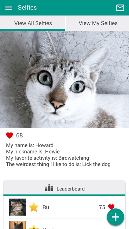 TCD Tampa Bay screenshot-3