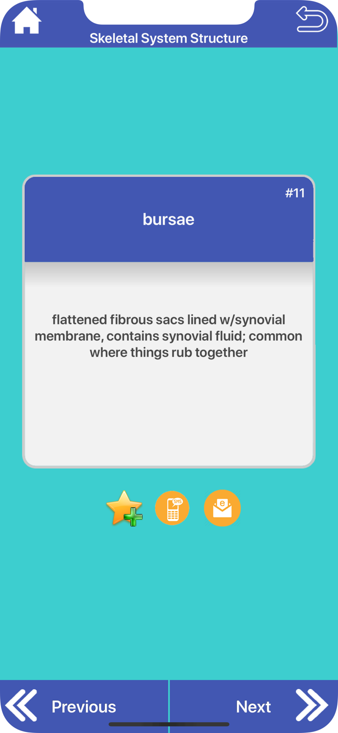 Skeletal System Flashcards