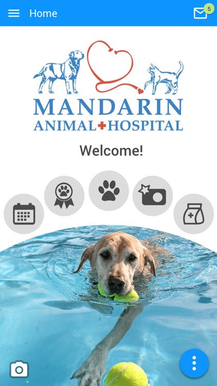 Mandarin Vet