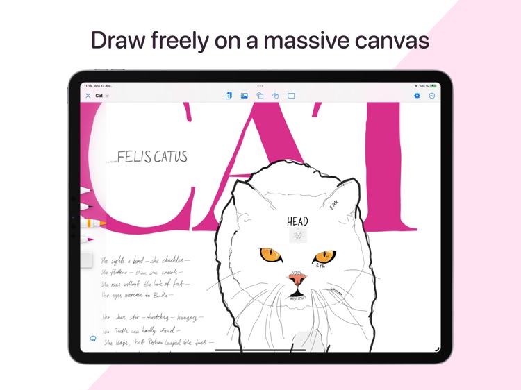 Mindsketch – Big Notes screenshot-5