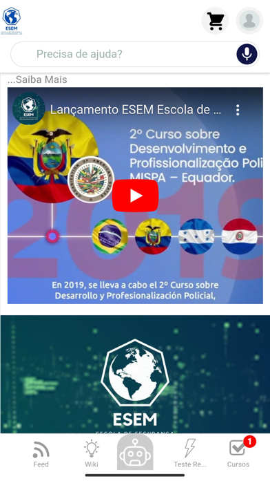 ESEM USP Screenshot