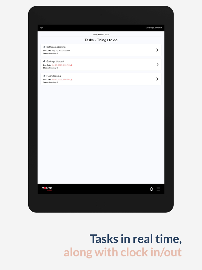 Route Pulse Cleaning Software