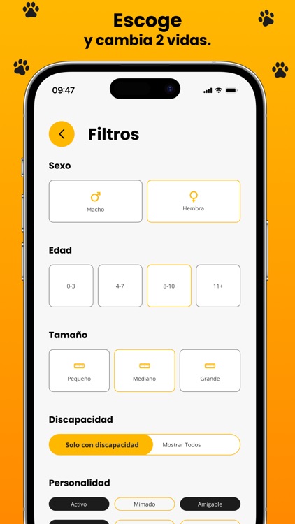 Kumpa screenshot-3