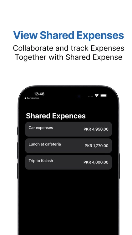 ExpenseInsight screenshot-6