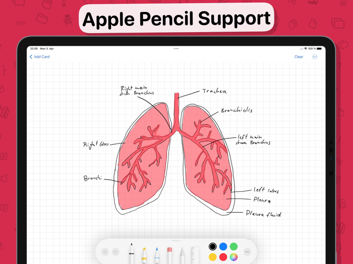 Flashtex Learn Flashcards
