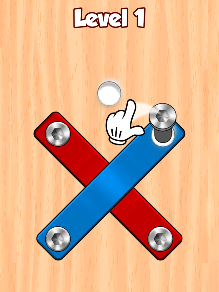 Screw Masters - Pin Puzzle