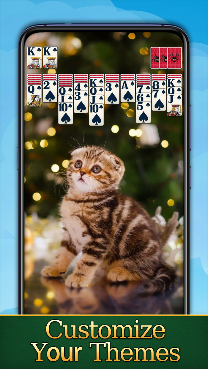 Classic Spider for Seniors