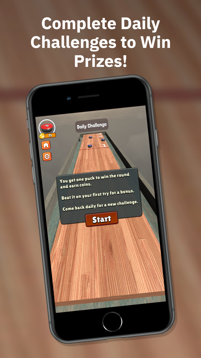 Tabletop Shuffleboard