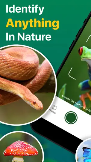 Picture Nature: Animal ID iPhone Screenshot 1