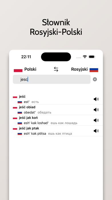 Słownik Rosyjski-Polski Screenshot