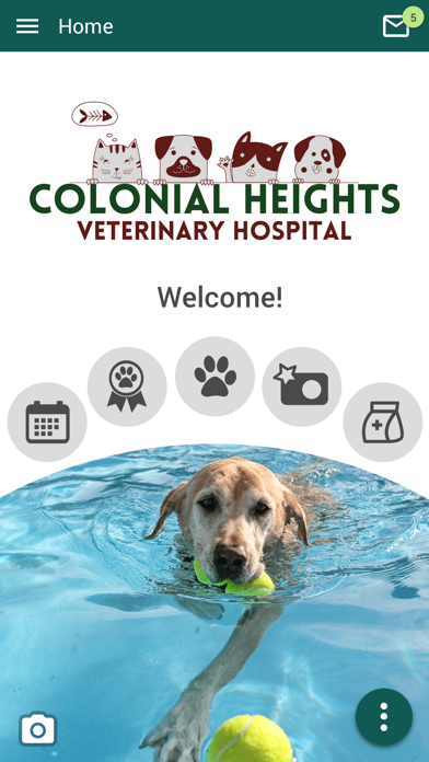 Colonial Heights Vet Hospital Screenshot