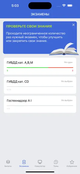 Game screenshot МегаПДД hack