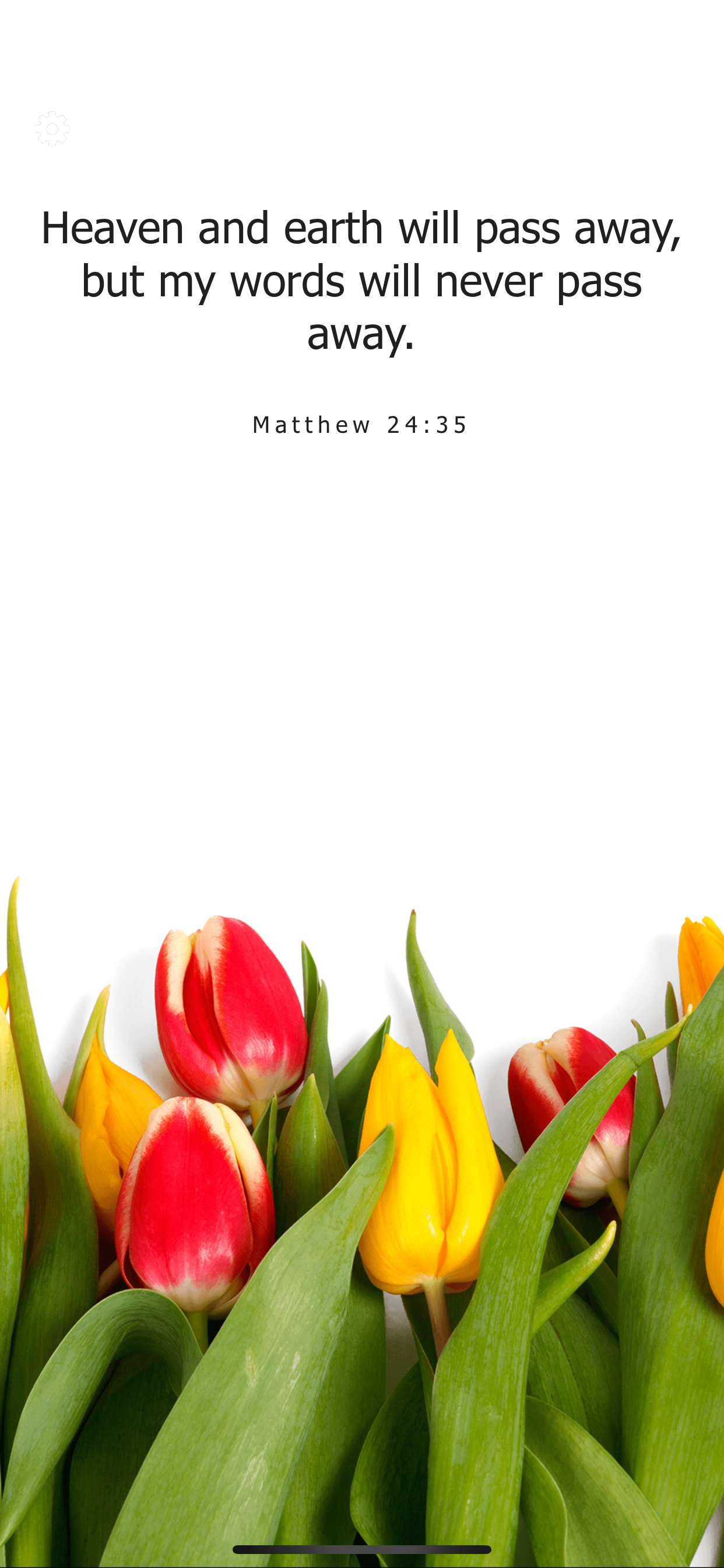Bible Verses Daily Scriptures