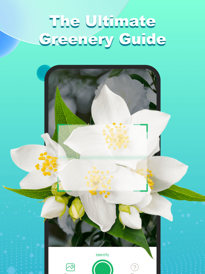 ChatPlant - Plant Identifier