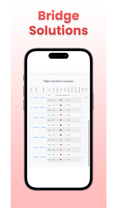Bridge Solutions Screenshot