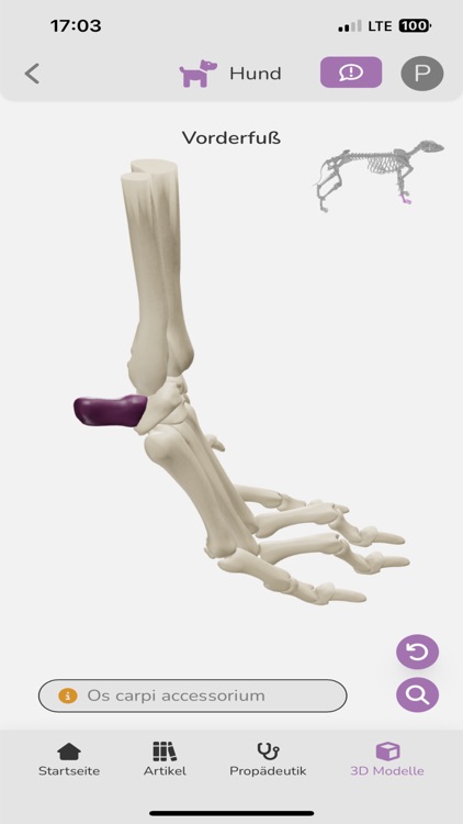 Vetflow - Learn Anatomy screenshot-8